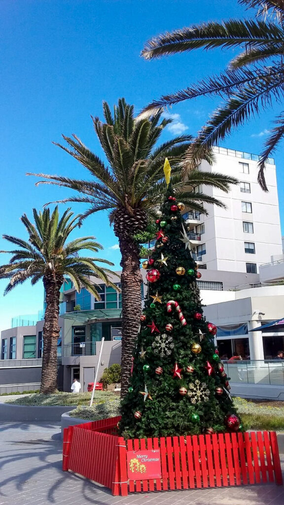 Boże Narodzenie w Australii, choinka pośrodku palm